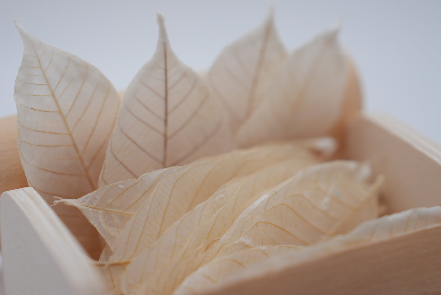 Single color Leaf Soap Pure Elegance
