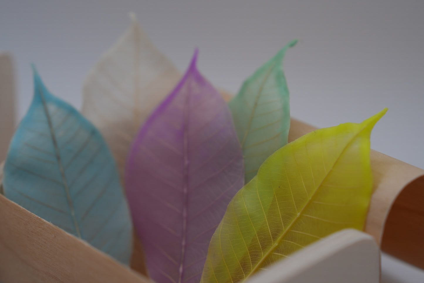 Colorful leaves soap in a box