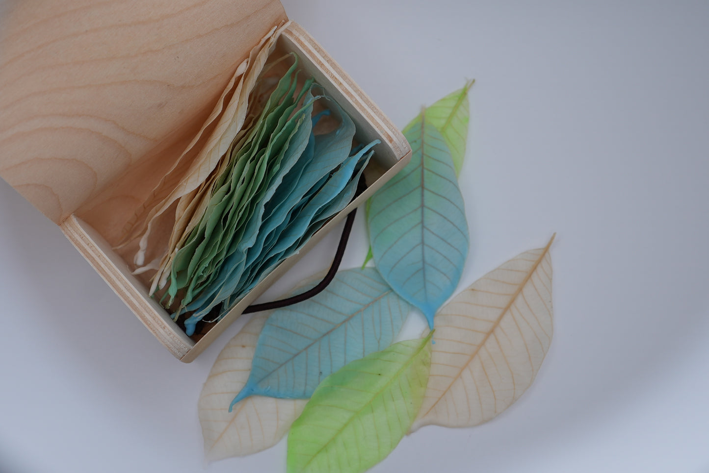 Wooden box with green and blue leaves on a white background