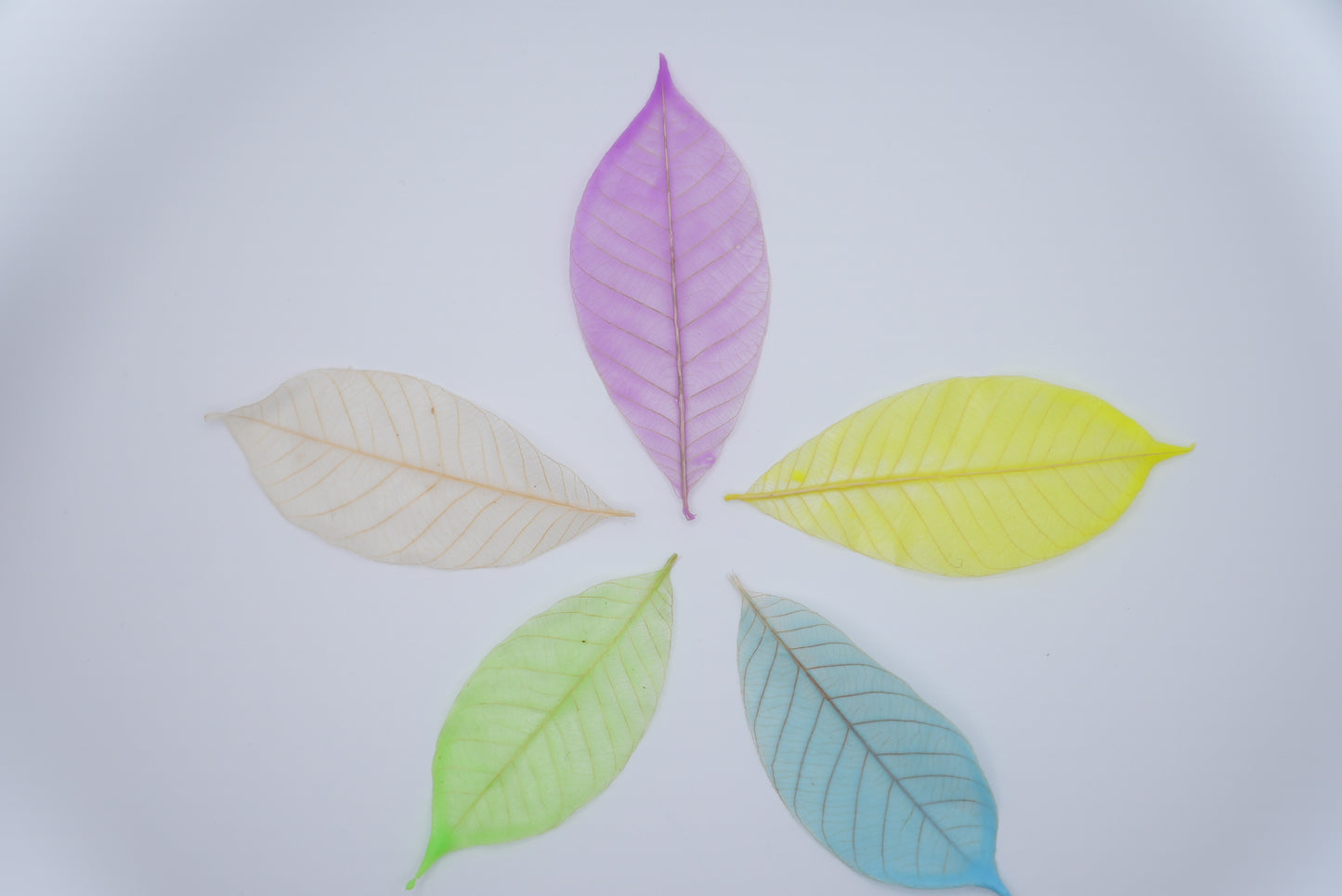Angel colorful leaves soap