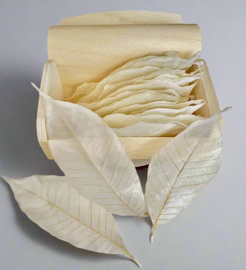 Pure Elegance – Luxury White Leaf Soap - leaf soap type 3